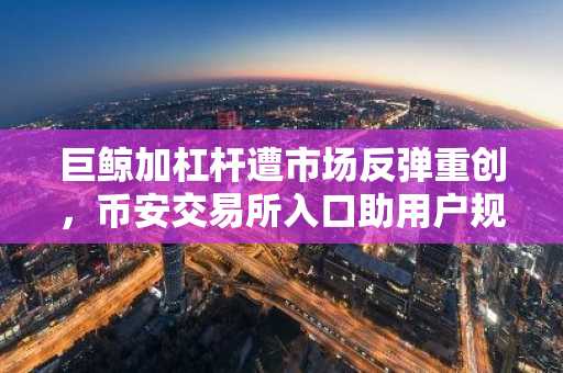 巨鲸加杠杆遭市场反弹重创，币安交易所入口助用户规避风险