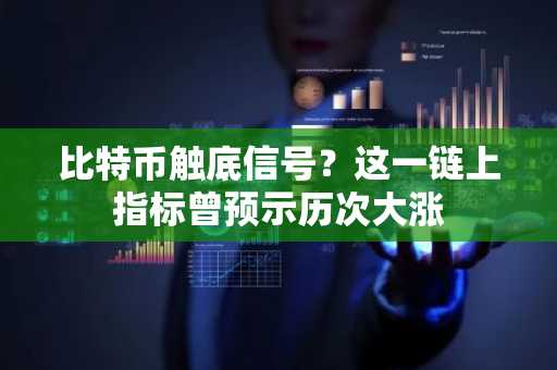 比特币触底信号？这一链上指标曾预示历次大涨