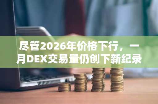 尽管2026年价格下行，一月DEX交易量仍创下新纪录