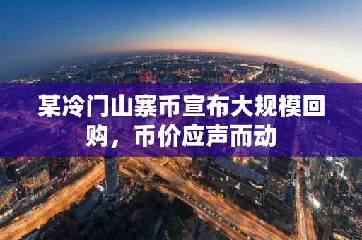 某冷门山寨币宣布大规模回购，币价应声而动