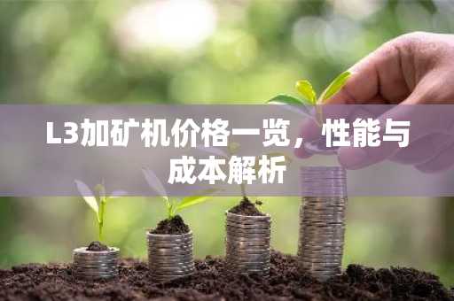 L3加矿机价格一览，性能与成本解析