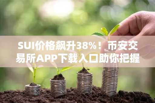 SUI价格飙升38%！币安交易所APP下载入口助你把握上涨行情