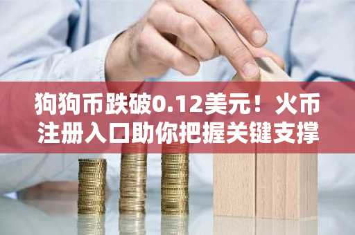 狗狗币跌破0.12美元！火币注册入口助你把握关键支撑位机会