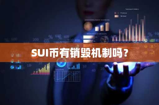 SUI币有销毁机制吗？