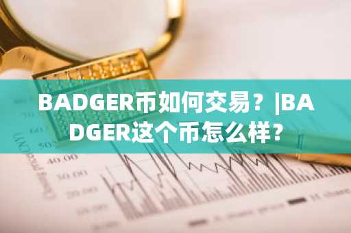 BADGER币如何交易？|BADGER这个币怎么样？