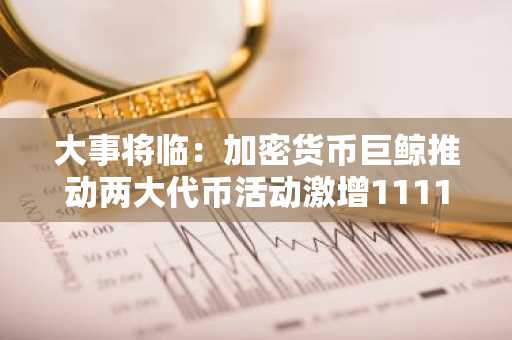 大事将临：加密货币巨鲸推动两大代币活动激增1111%
