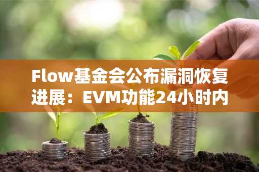 Flow基金会公布漏洞恢复进展：EVM功能24小时内上线，币安官方网与欧易官网同步支持