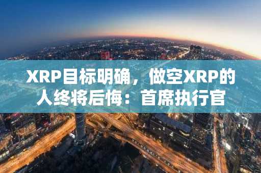 XRP目标明确，做空XRP的人终将后悔：首席执行官