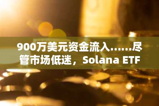 900万美元资金流入……尽管市场低迷，Solana ETF的“机构押注”会持续吗？