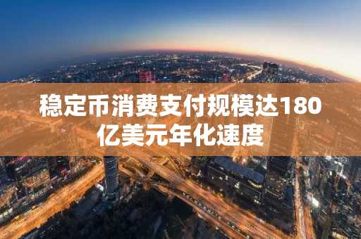 稳定币消费支付规模达180亿美元年化速度