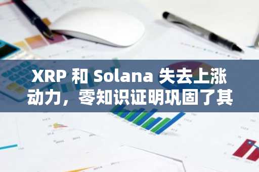 XRP 和 Solana 失去上涨动力，零知识证明巩固了其加密货币涨幅榜首地位，预计投资回报率将达到 400 倍。
