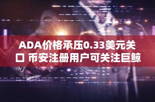 ADA价格承压0.33美元关口 币安注册用户可关注巨鲸囤币信号