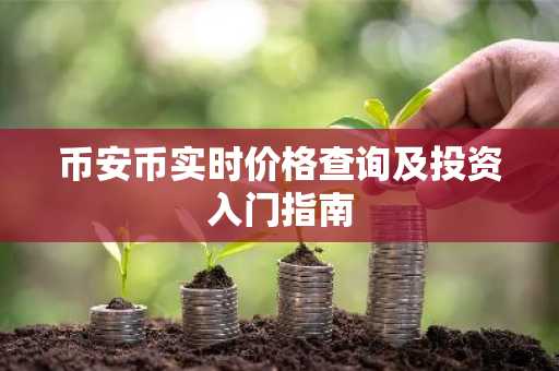 币安币实时价格查询及投资入门指南
