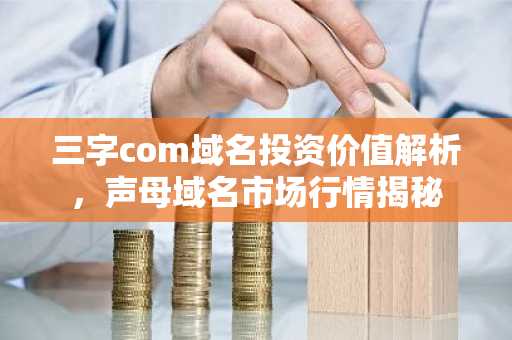 三字com域名投资价值解析，声母域名市场行情揭秘