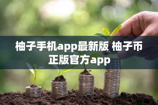 柚子手机app最新版 柚子币正版官方app