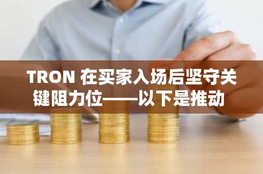 TRON 在买家入场后坚守关键阻力位——以下是推动 TRX 上涨的因素