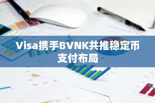Visa携手BVNK共推稳定币支付布局