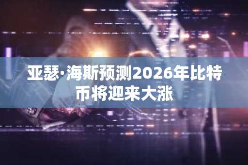 亚瑟·海斯预测2026年比特币将迎来大涨