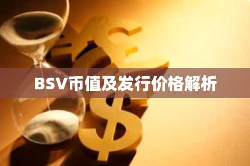 BSV币值及发行价格解析