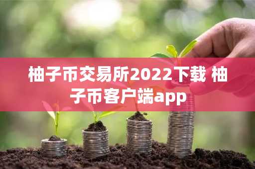 柚子币交易所2022下载 柚子币客户端app