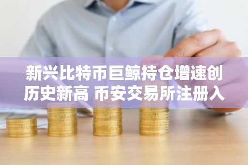新兴比特币巨鲸持仓增速创历史新高 币安交易所注册入口助力用户参与