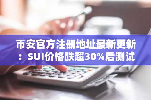 币安官方注册地址最新更新：SUI价格跌超30%后测试日线支撑