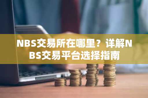 NBS交易所在哪里？详解NBS交易平台选择指南
