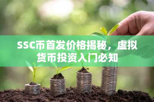 SSC币首发价格揭秘，虚拟货币投资入门必知