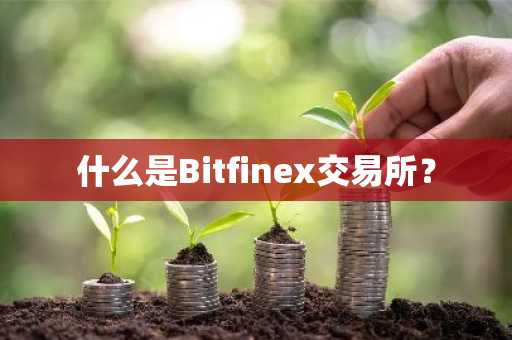 什么是Bitfinex交易所？