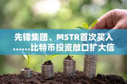 先锋集团、MSTR首次买入……比特币投资敞口扩大信号