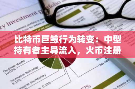 比特币巨鲸行为转变：中型持有者主导流入，火币注册入口助你把握市场动向