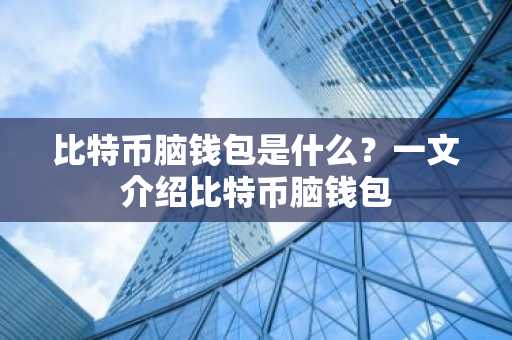 比特币脑钱包是什么？一文介绍比特币脑钱包