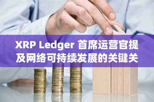 XRP Ledger 首席运营官提及网络可持续发展的关键关注点：详情
