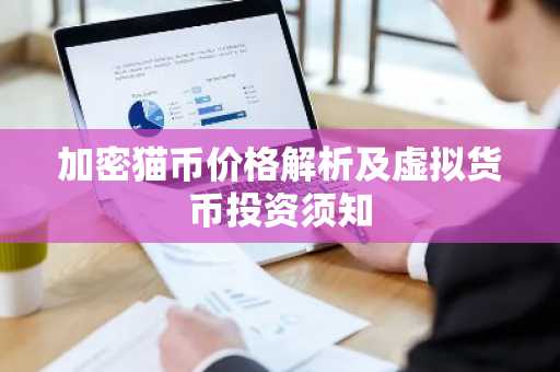 加密猫币价格解析及虚拟货币投资须知