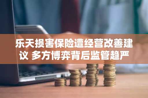 乐天损害保险遭经营改善建议 多方博弈背后监管趋严