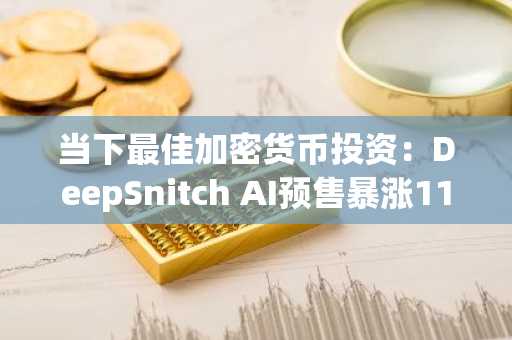 当下最佳加密货币投资：DeepSnitch AI预售暴涨110%，币安交易所入口下载快速注册