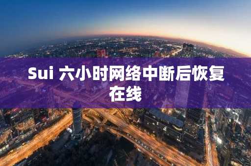 Sui 六小时网络中断后恢复在线