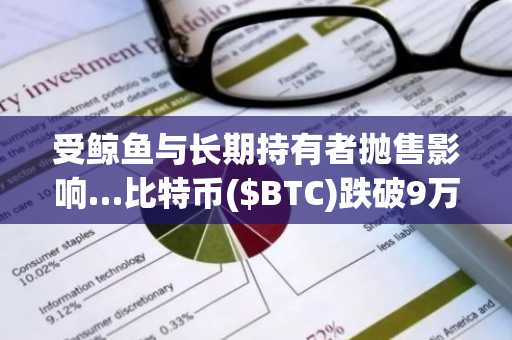 受鲸鱼与长期持有者抛售影响…比特币($BTC)跌破9万美元