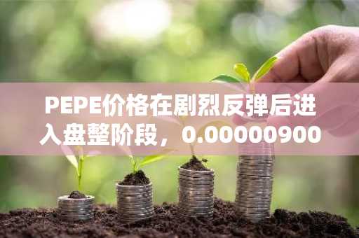 PEPE价格在剧烈反弹后进入盘整阶段，0.00000900美元成为关键阻力位