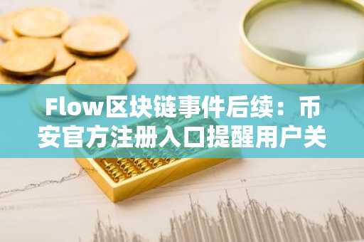 Flow区块链事件后续：币安官方注册入口提醒用户关注生态风险