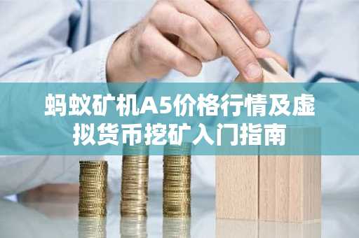 蚂蚁矿机A5价格行情及虚拟货币挖矿入门指南