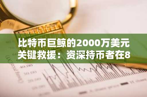 比特币巨鲸的2000万美元关键救援：资深持币者在8300万美元亏损中成功规避清算