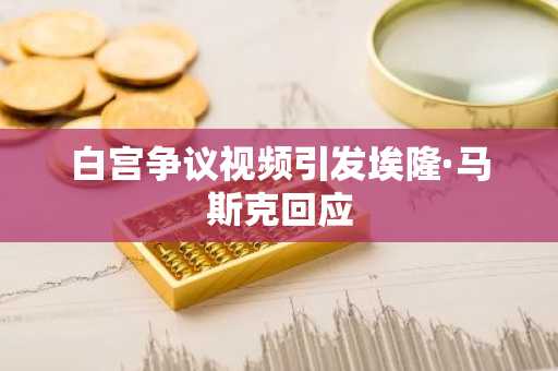 白宫争议视频引发埃隆·马斯克回应