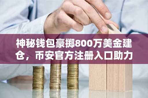 神秘钱包豪掷800万美金建仓，币安官方注册入口助力用户把握市场趋势