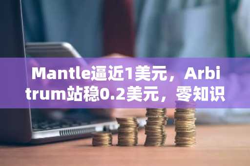 Mantle逼近1美元，Arbitrum站稳0.2美元，零知识证明技术初露锋芒引燃万倍回报预期