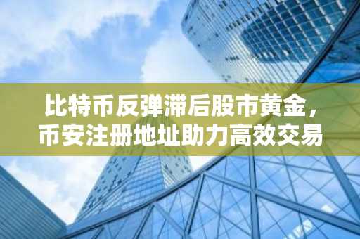 比特币反弹滞后股市黄金，币安注册地址助力高效交易